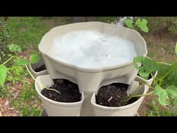 Vertical gardening made easy with GreenStalk