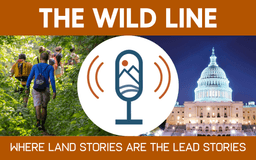 Endangered Species Rallies Head to the Gulf, Forest ...
