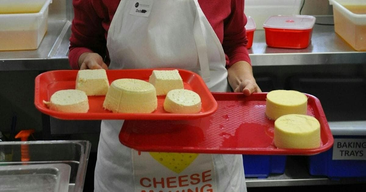 Intensive Cheesemaking Workshop