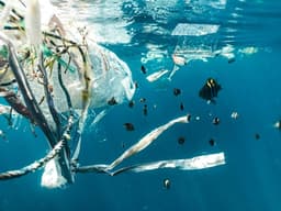 Shipping industry takes major step towards sustainable ...