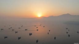 As US-Iran war rages, who's risking the Strait of Hormuz?