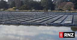 Profits from iwi-led solar project tagged for families ...
