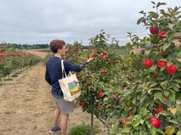 Marin Weekend & Bay Area Family Fun for August 21–23