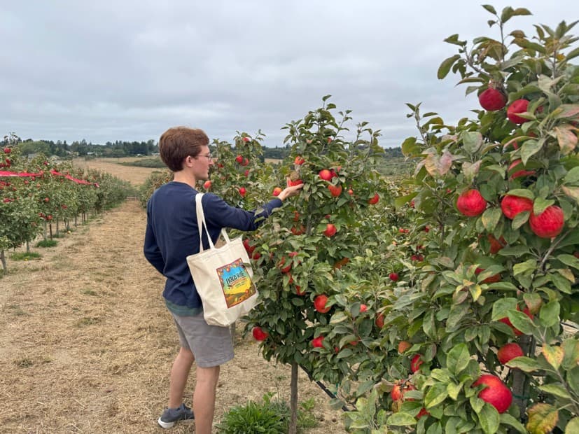 Marin Weekend & Bay Area Family Fun for August 21–23