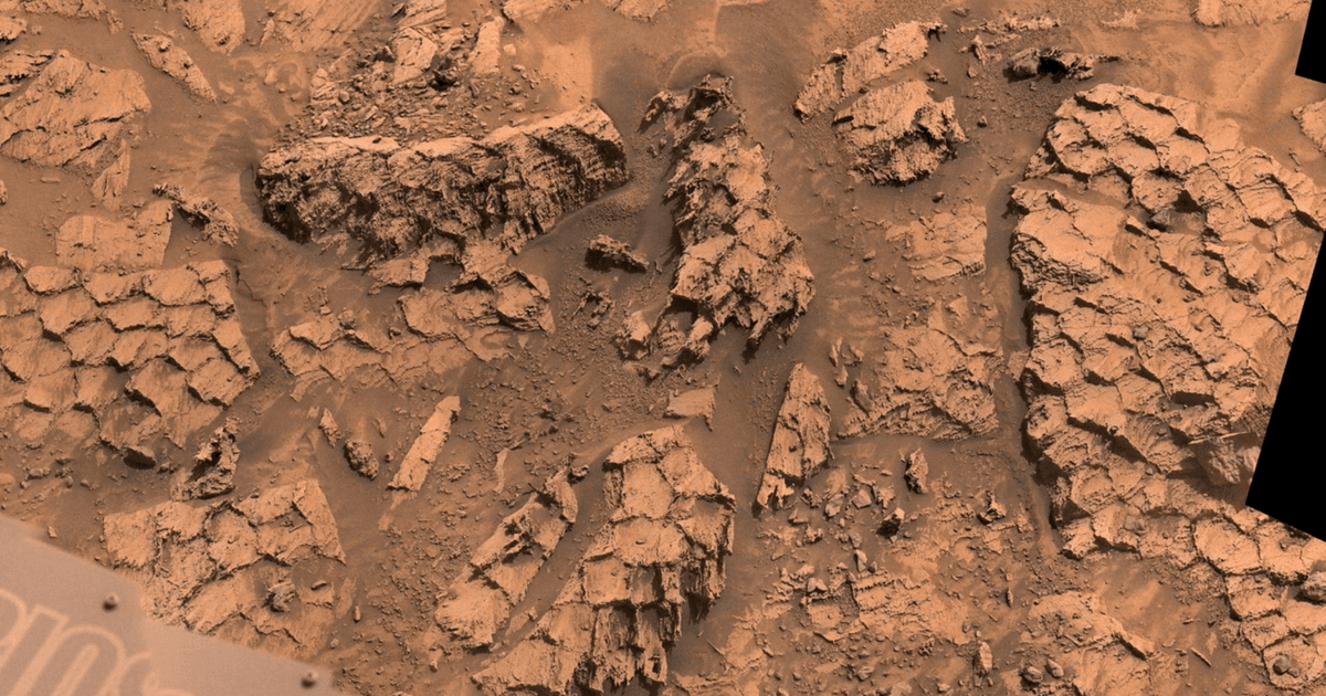 Bizarre ‘dragon scales’ spotted on Mars |  | wfxg.com