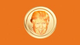Undoing Trump’s Golden Age of Corruption