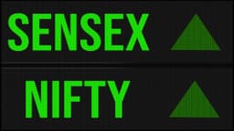 Closing Bell: Nifty tops 24000, Sensex jumps 790 pts led ...