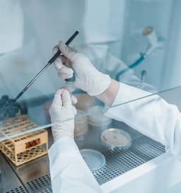 Plague in Russia: a warning?