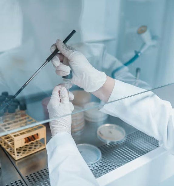 Plague in Russia: a warning?