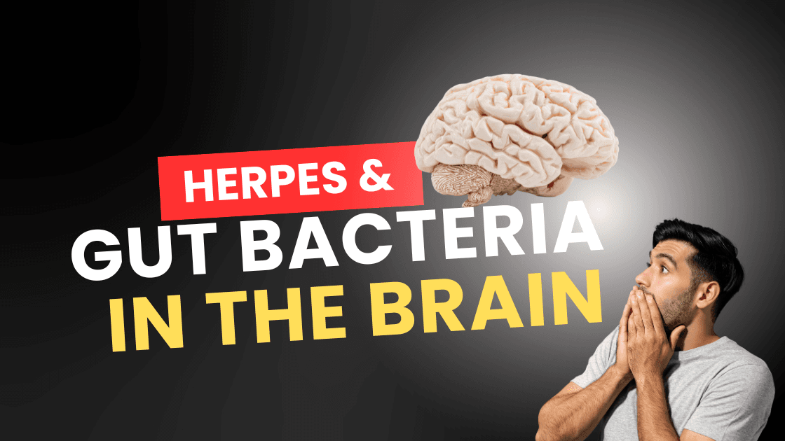 Herpes, Gut Bacteria, and the Brain