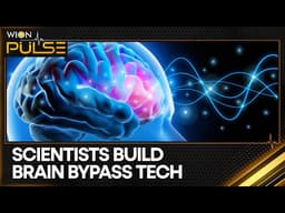 Big Breaktrhough: New Technology Reconnects Damage Brain Circuits | WION