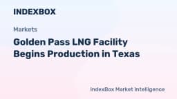 Golden Pass LNG Starts Production at Sabine Pass, Texas - News and Statistics - IndexBox