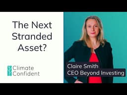 Animal Agriculture’s Climate Risk and ESG Blind Spot