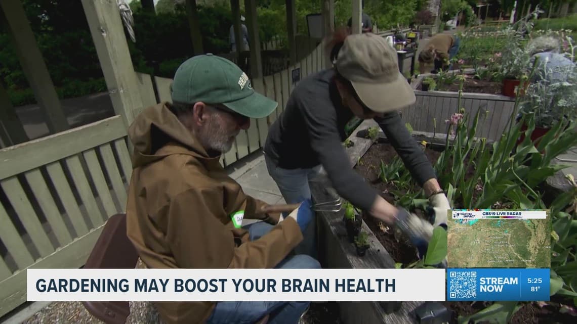 Study suggests gardening may improve cognitive health and memory
