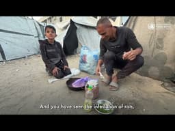 Gaza and the West Bank: UN Human Rights Warns Accountability Is Urgent