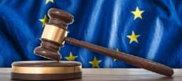 The Chicken or Egg Dilemma: The General Court Partially ...
