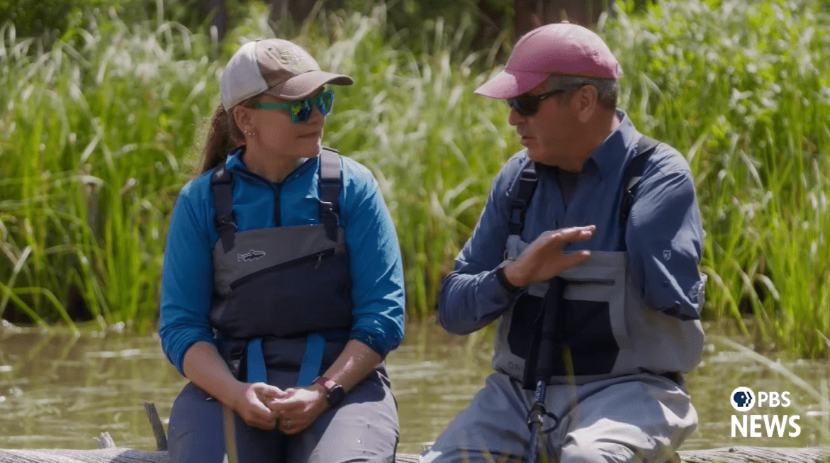 A Look into Dr. Emily Fairfax's Research on Beaver Ecosystem ...