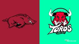 Stream Arkansas vs Toros del Valle (C