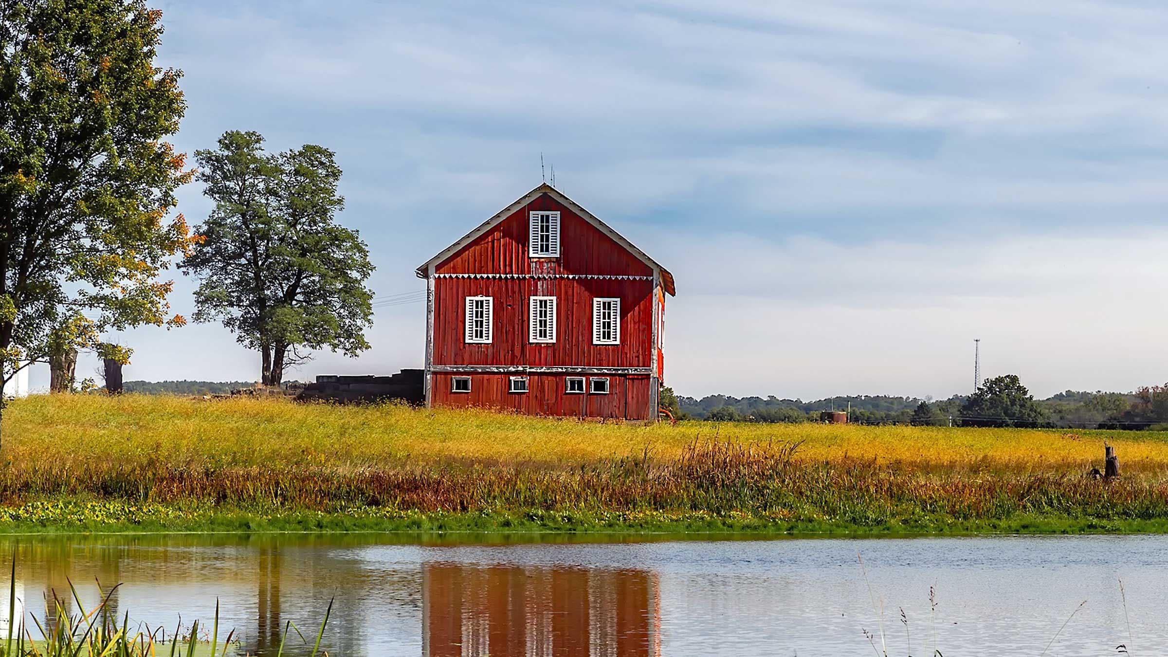 Farms & Barns Art Exhibition - The Next Picture Show
