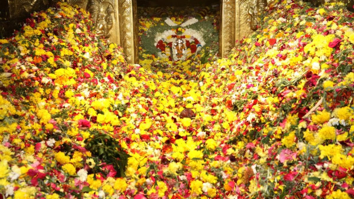 
	Poochorithal festival celebrated at Tiruvappur Mariamman temple - The Hindu
