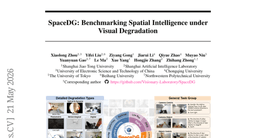 SpaceDG: Benchmarking Spatial Intelligence under Visual Degradation