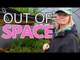 Ran Out of Room for Seedlings - Let’s Fix That!