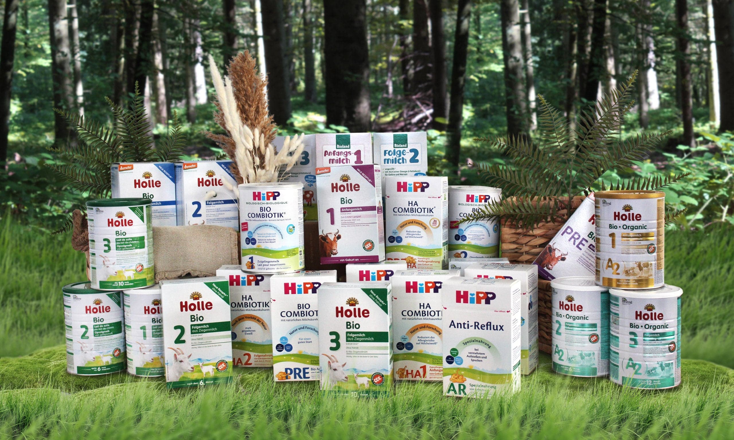 HiPP Anti Reflux AR — Instructions & Ingredients
