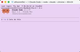 @alliekmiller: Give me one minute, and I’ll improve your Claude Code experience immediately. 

This is the first sk...