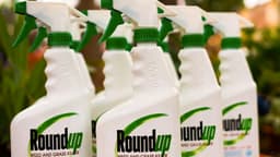 The Supreme Court's Monsanto Decision: Why Businesses ...