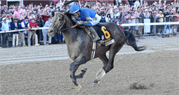 Sovereignty reclaims his crown in G1 Whitney triumph | Saratoga