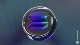 SoFi picks Solana for fiat and crypto banking - Cryptopolitan