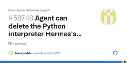 Agent can delete the Python interpreter Hermes's own ...
