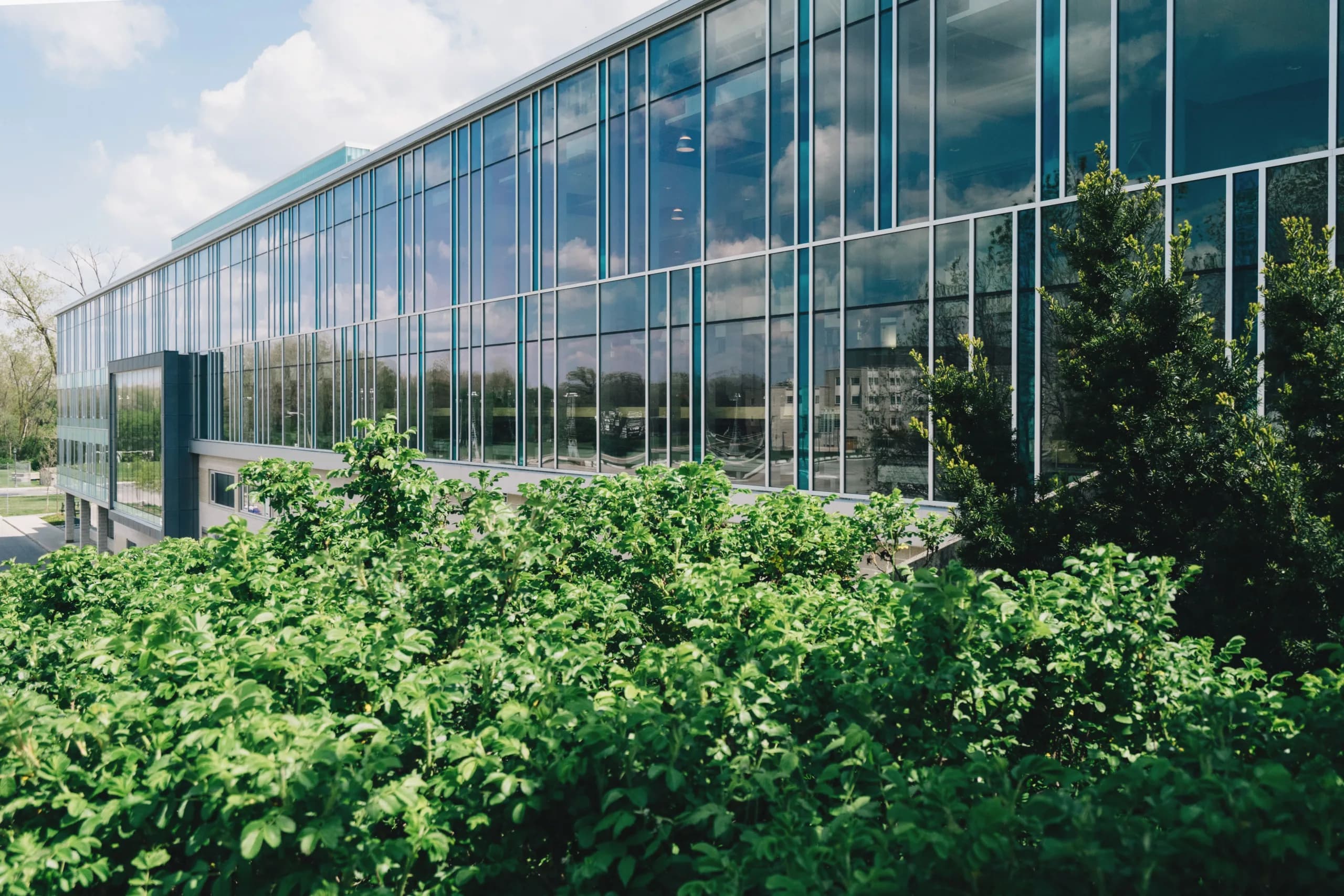Nvidia Earnings Spotlight AI Data Center Demand Shift