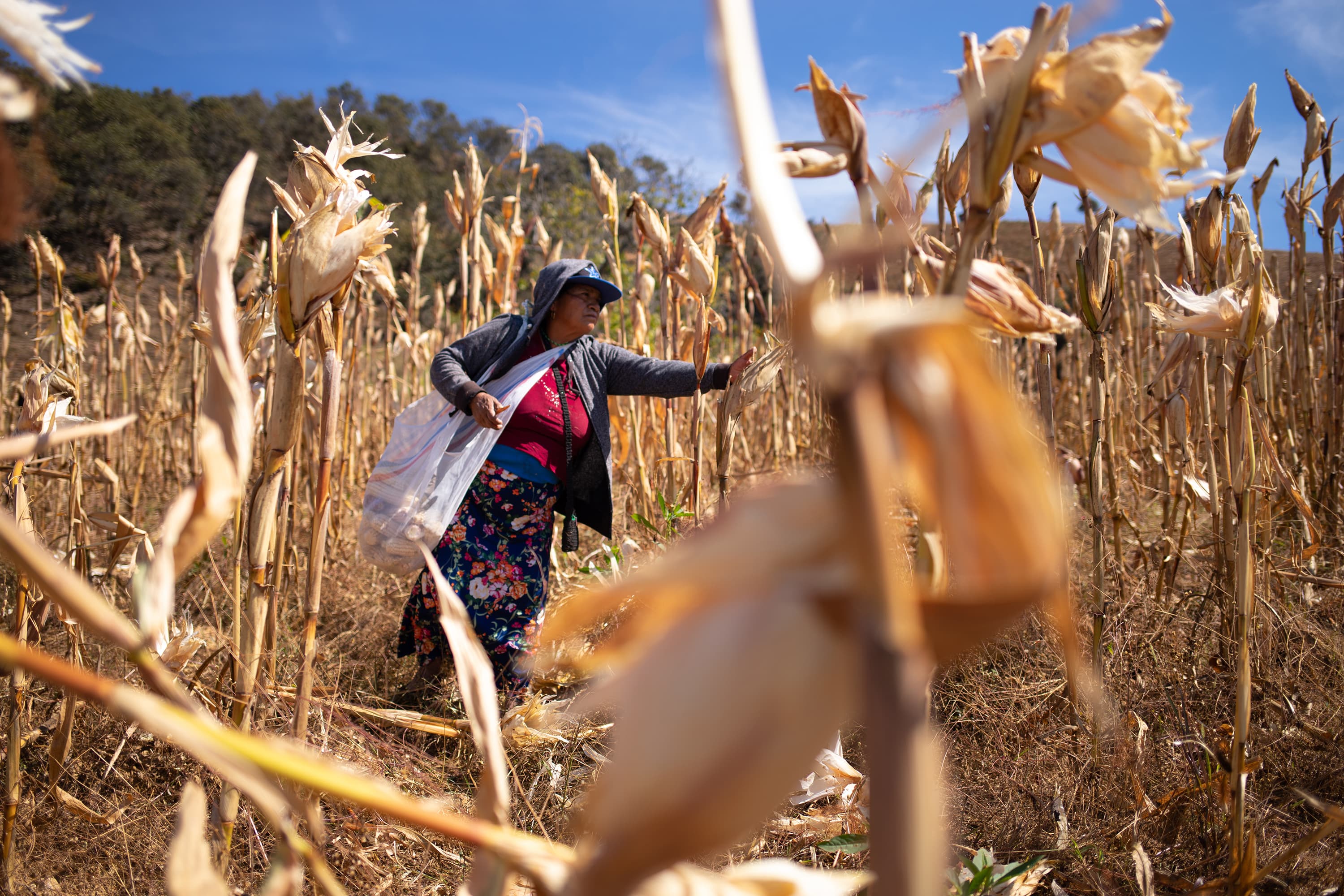 Turning Climate Promises Into Action Starts With People