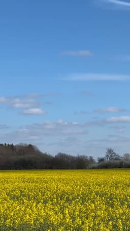 @Osinttechnical: USAF B-52H taking off on an Iran strike mission last last week, carrying a full load of JASSM cruise...
