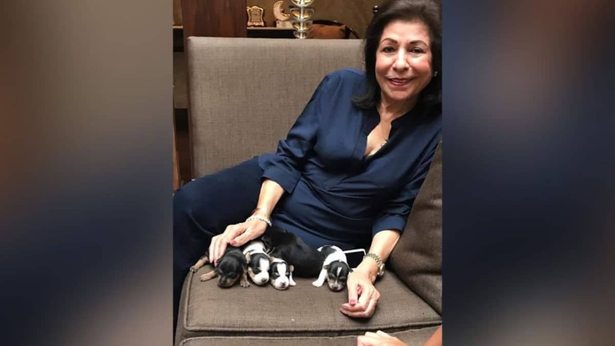 Delhi High Court Urges Mediation in RK Family Trust Dispute, Seeks Replies on New Pleas | Republic World