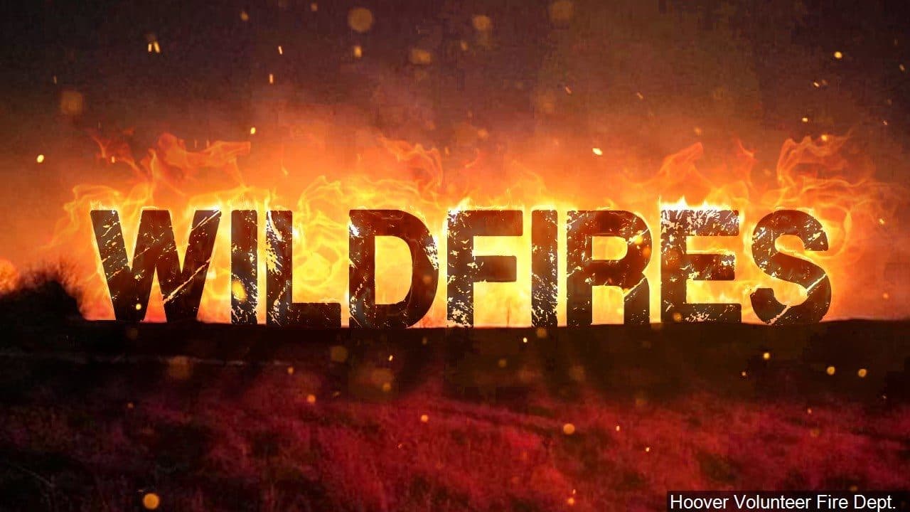Brush fire contained Pocatello Regional Airport