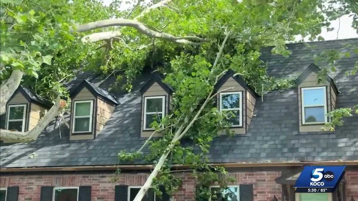 Disaster emergency declared after July 4 storms