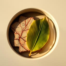 Bay Area Weekend Picks