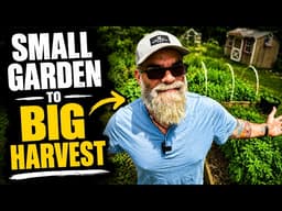 This Is How I Get a Small Garden to Produce Like a Big One