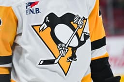 NHL Board Of Governors Approves Penguins Sale From FSG To Hoffmann Family