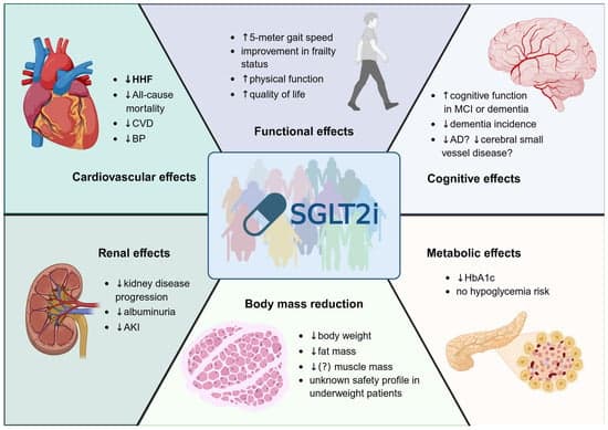 Evidence on SGLT2 Inhibitors’ Efficacy in Older and Frail Patients