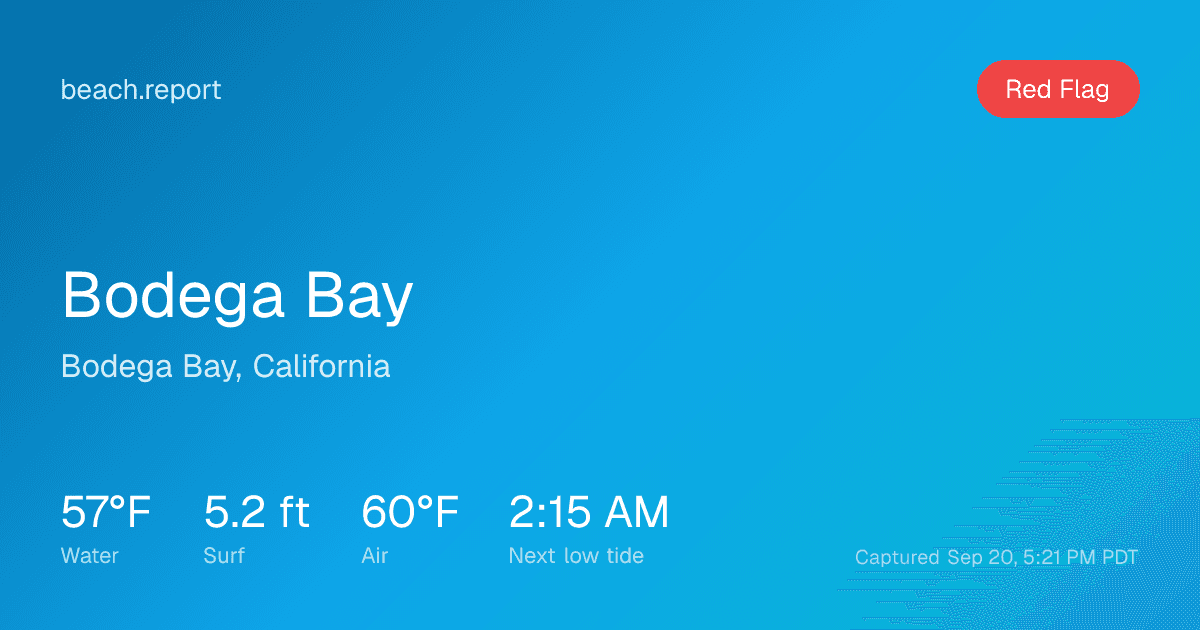 About Bodega Bay: Local Tips, Safety & FAQ | CA - Beach Report