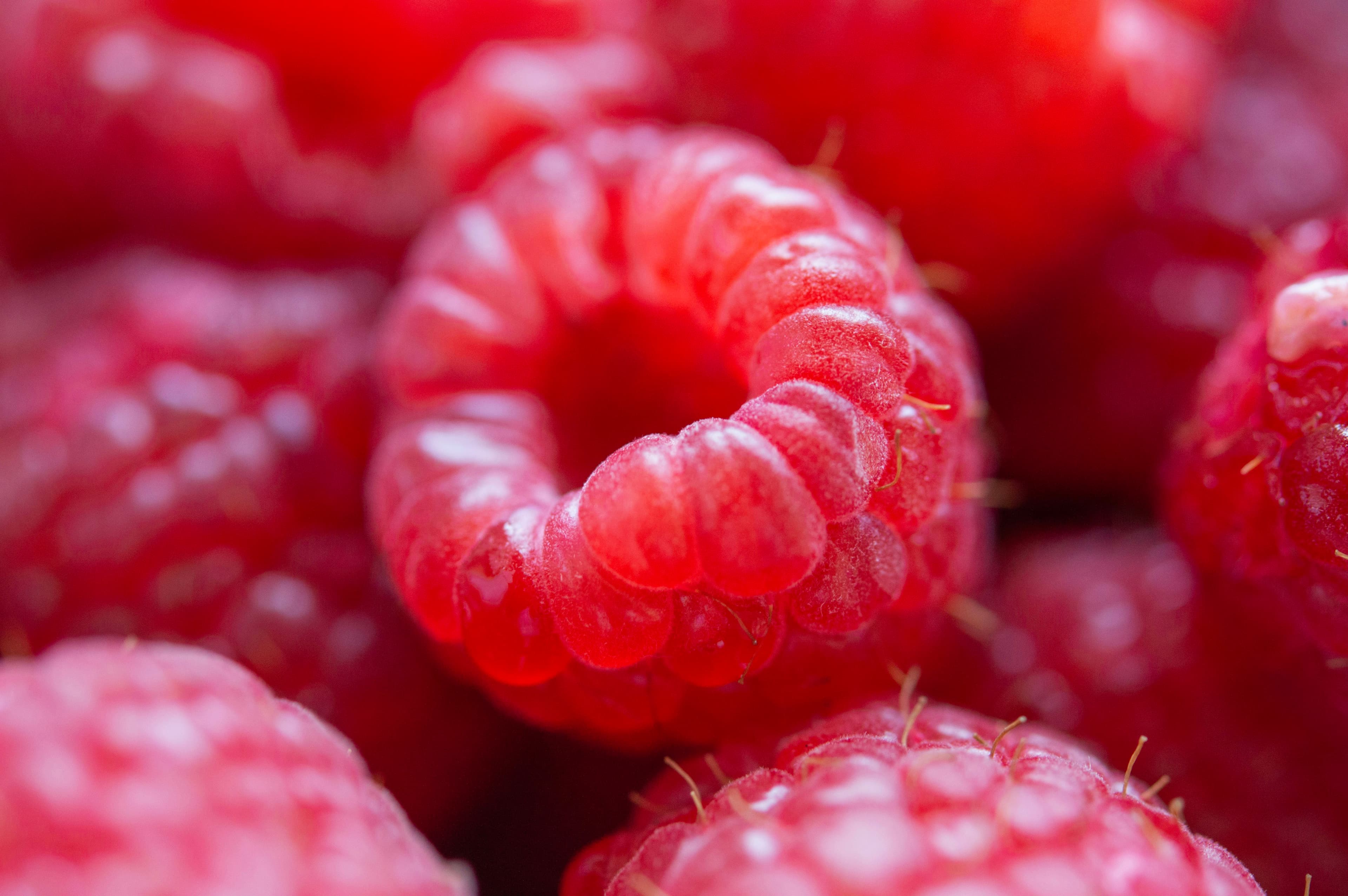 Friday Q&A: Cyclospora outbreak; too much dietary protein; urinary urgency; & top exercise hacks