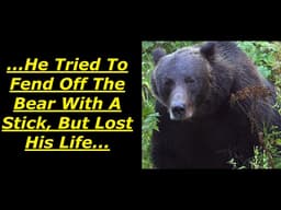 Scary Bear Attacks: The May 16th, 2026 Fatal Brown Bear Attack On A Hiker In Bulgaria