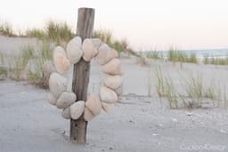 DIY Seashell Wreath Using Large Clamshells