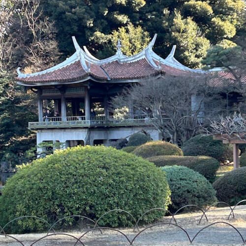 GPOD on the Road: Shinjuku Gyoen National Garden - Fine Gardening