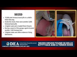 Dark Web Fentanyl Bust in Washington 100,000 Pills Seize!