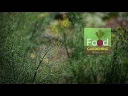 Grow More Food, Rethink Your Landscape, and Garden Smarter