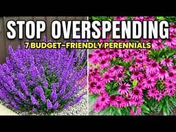 7 Cheap Budget-Friendly Perennials That Look Far More EXPENSIVE! 😱